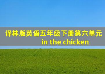 译林版英语五年级下册第六单元in the chicken